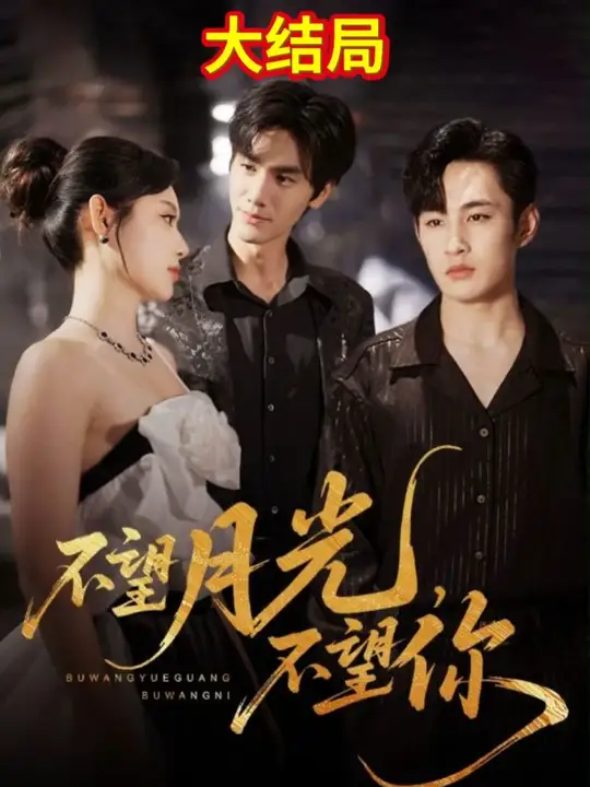 不望月光不望你(全集)