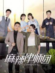 麻辣律师团 第二季(全集)